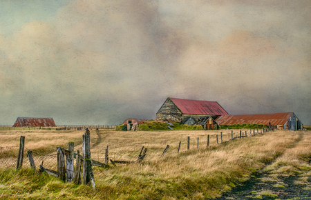 The Farm