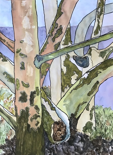 Sycamore Row, Ode #15