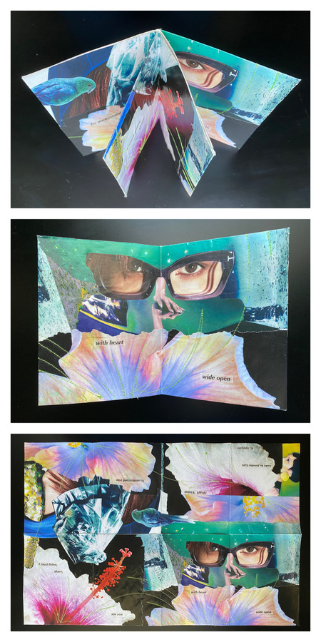 Heart Vision