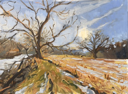 February Field
