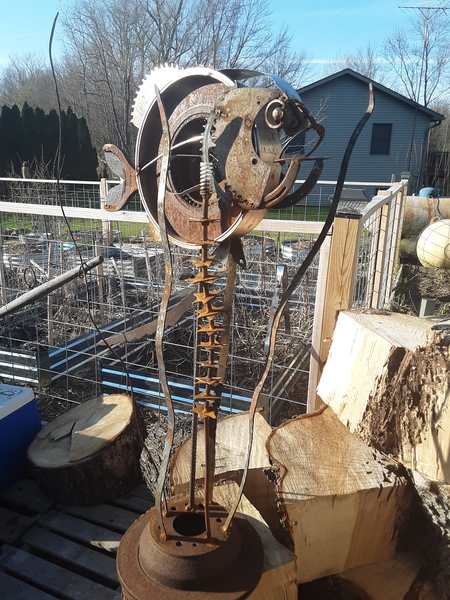 bluegill