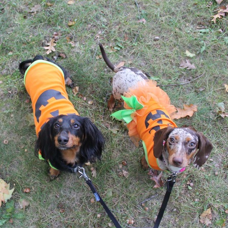 Riley & Piper