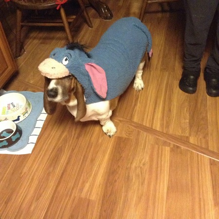 Dolly Eeyore Reed