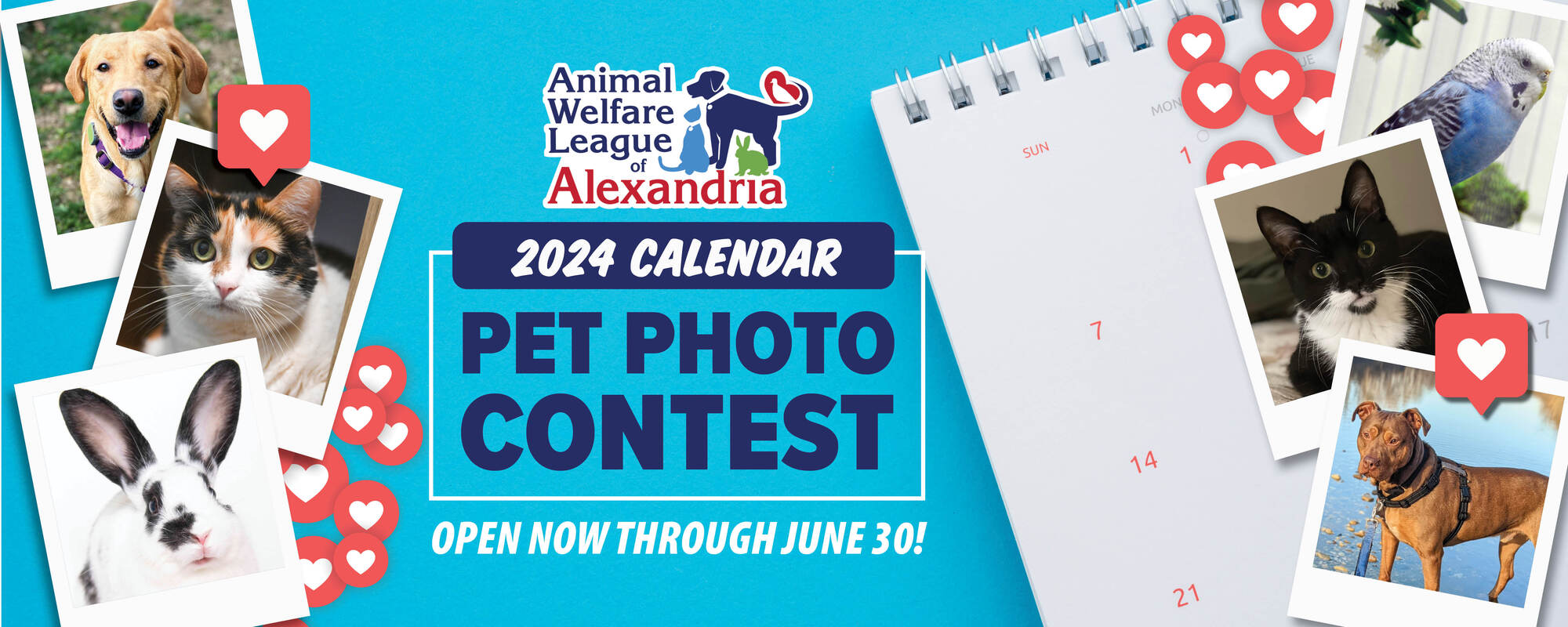 Animal Welfare League of Alexandria 2024 Calendar Pet Photo Contest