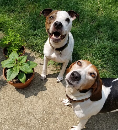 Luigi and Betty