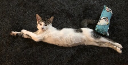 Django