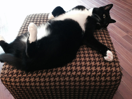 Baxter