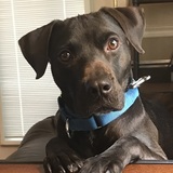 Entry image for Finn