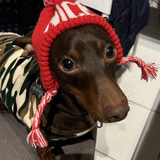 Entry image for Woody