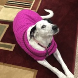 Entry image for Addie