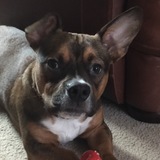 Entry image for Tucker