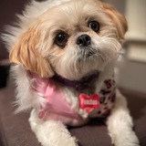 Entry image for Peaches