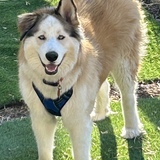 Entry image for Murphy