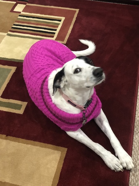 Entry image for Addie. Clicking this image will show a larger photo