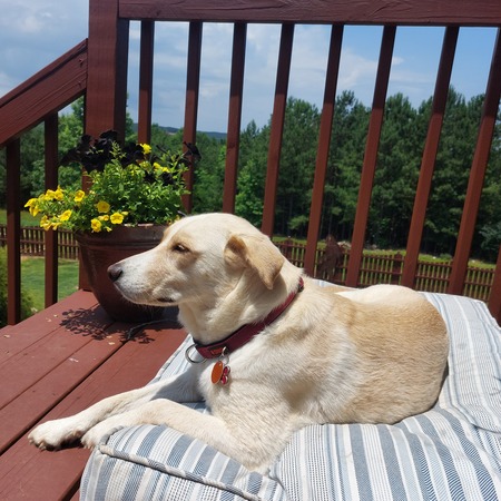Entry image for Butters. Clicking this image will show a larger photo