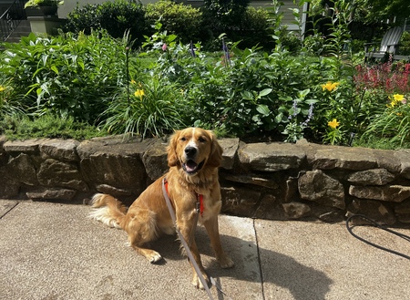 Raleigh “Jude Paw”