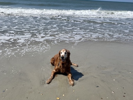 Marley