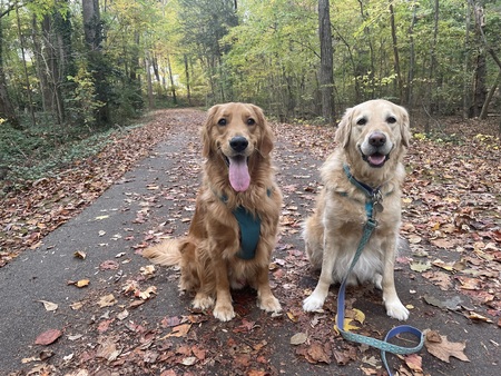 Murphy & Theo