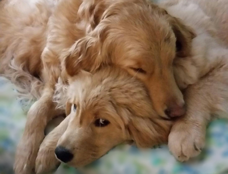 Lilly (top) & Mira Grace (open eyes)