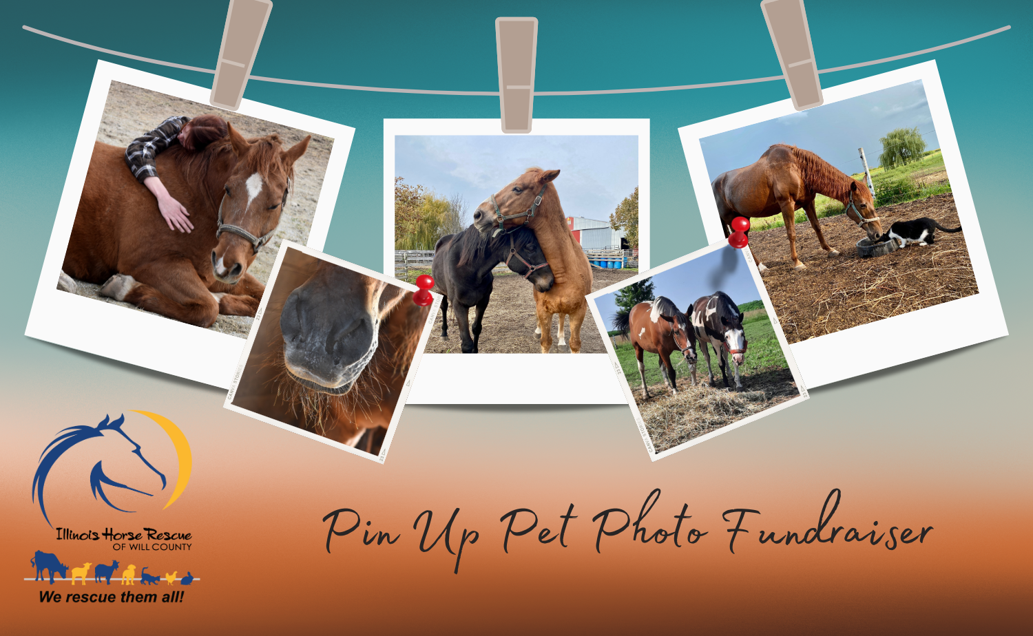 Banner for Pin Up Pet Photo Fundraiser