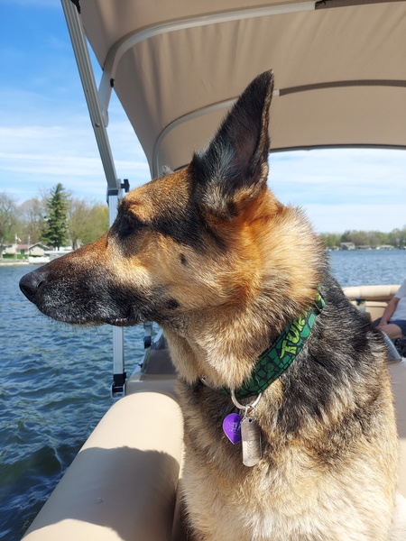 Kobi