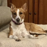 Entry image for Millie