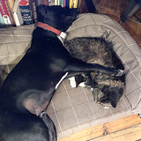 Entry image for Stormy & Two Socs