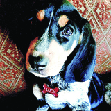 Entry image for Lucy