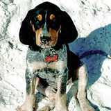 Entry image for Lucy