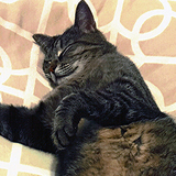 Entry image for Atticus