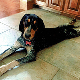 Entry image for Lucy