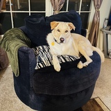 Entry image for Toby 