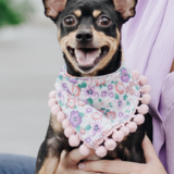 Entry image for Lola