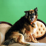Entry image for Emily