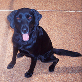 Entry image for Heather