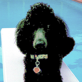 Entry image for Josette