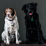 Entry image for Maggie & Hester