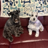 Entry image for Molly and Maggie
