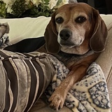 Entry image for Tucker