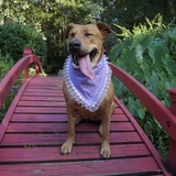 Entry image for Lady May