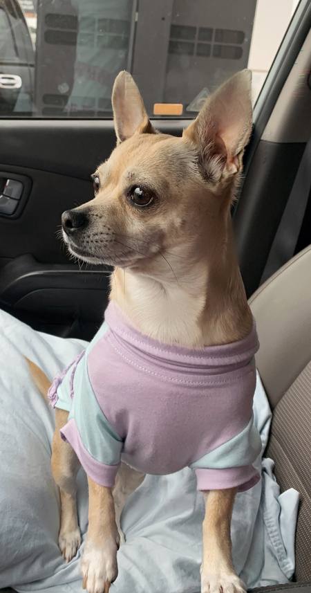 Entry image for Paris Hilton. Clicking this image will show a larger photo