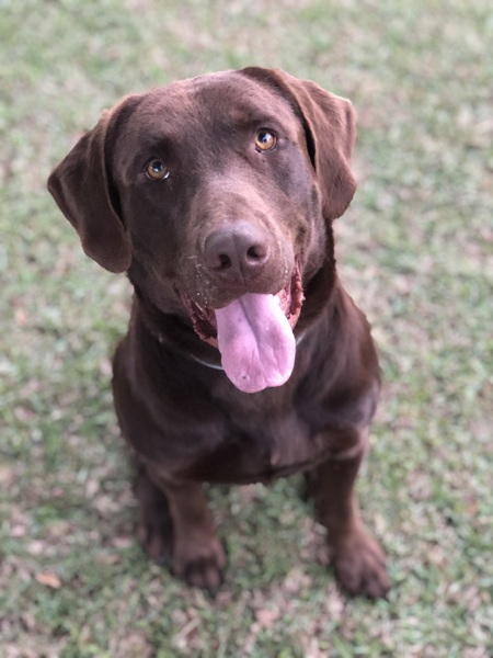 Entry image for Saban Dale . Clicking this image will show a larger photo
