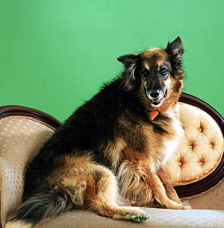 Entry image for Emily. Clicking this image will show a larger photo