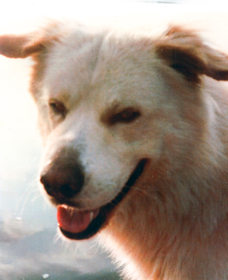Entry image for Zac. Clicking this image will show a larger photo