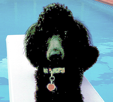 Entry image for Josette. Clicking this image will show a larger photo