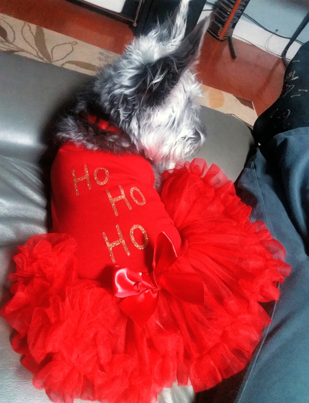 Entry image for Abby. Clicking this image will show a larger photo