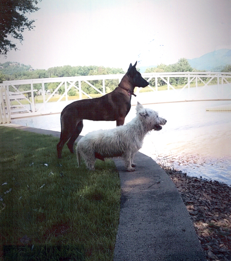Entry image for Kashmir & Duncan. Clicking this image will show a larger photo