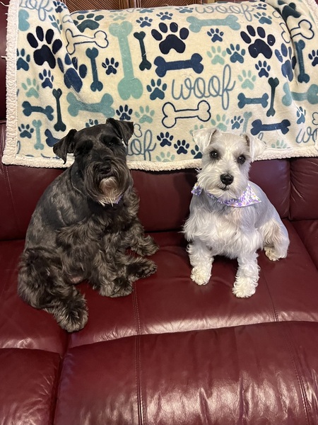 Entry image for Molly and Maggie. Clicking this image will show a larger photo