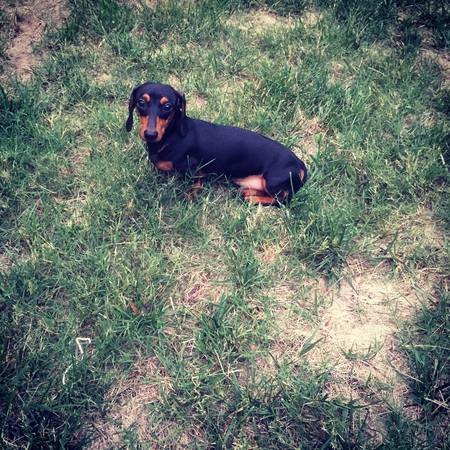 Ernie 