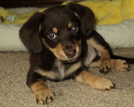 Charlie